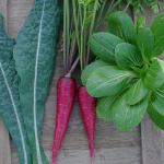 what to grow in february