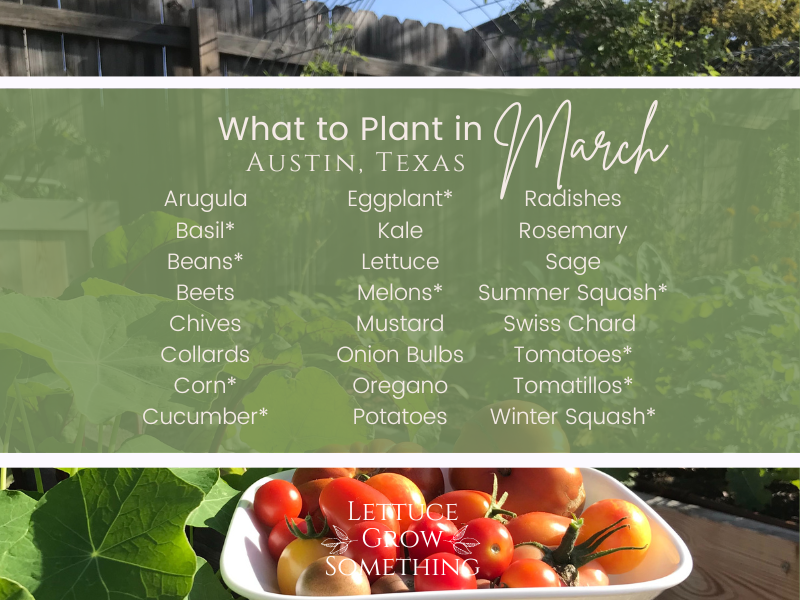 What to Plant in March in Austin, TX