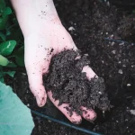 garden soil