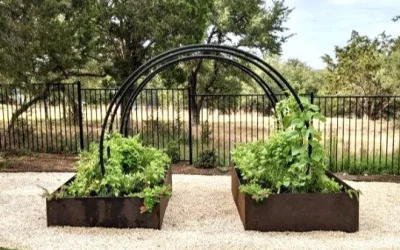 3 Beautiful Garden Trellis Ideas