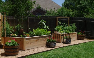 Why Raised Beds?