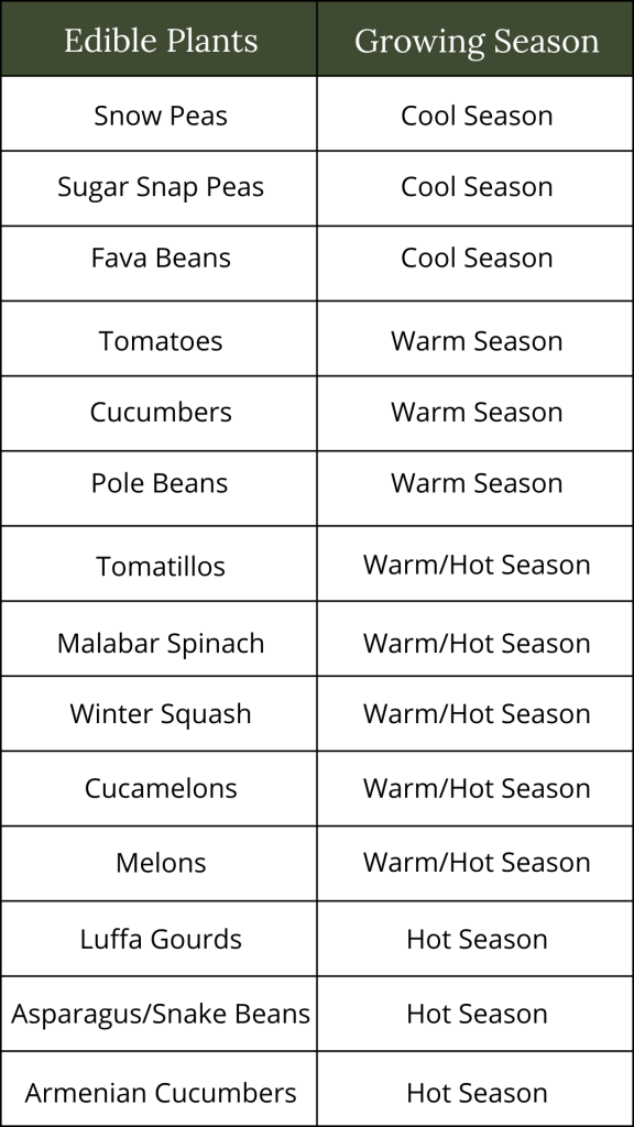 best vegetables for vertical gardening