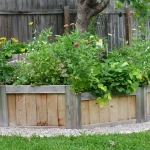 edible garden