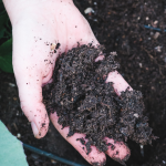 best soil for raised beds