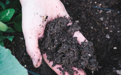 The Best Soil to Fill a Raised-Bed Vegetable Garden