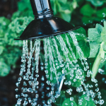 different ways to water garden