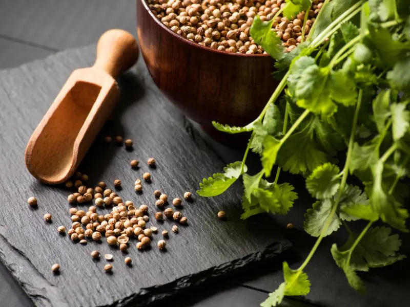 cilantro seeds on a black cutting board