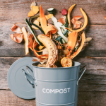 saving scraps for compost