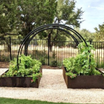 steel garden bed with moon arches