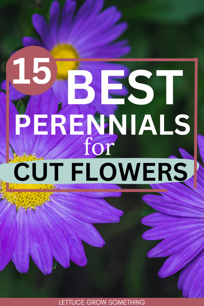 15 Best Perennials for cut flowers
