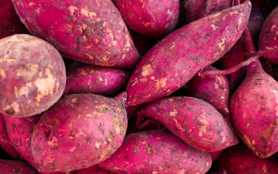 How to Grow Sweet Potatoes in Central Texas