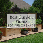 best garden plants for sun or shade
