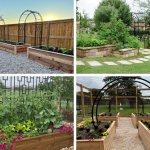 best vegetables for vertical gardening