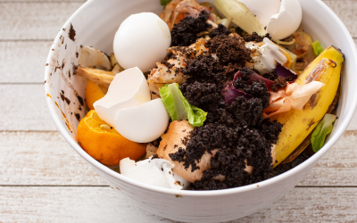 The Best Materials to Toss in Compost Bin (Printable Chart)