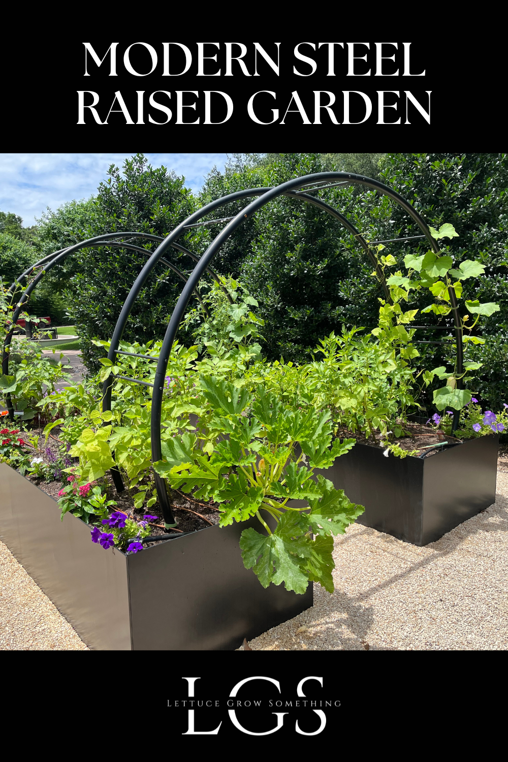black steel raised bed gardens with various flowers, herbs and vegetables growing in them.