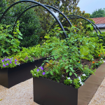 Raised Bed Garden Design - Black Steel Raised Beds