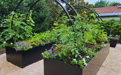 Custom Raised Bed Garden Design: Stunning Black Steel Garden