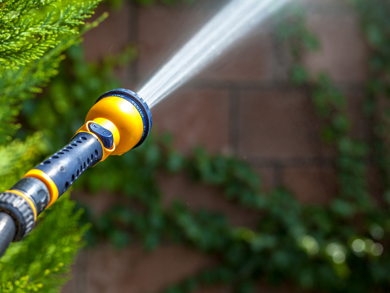 spray aphids off with water