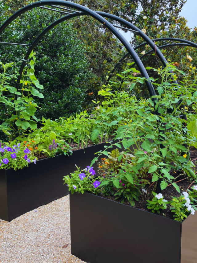 Raised Bed Garden Design - Black Steel Raised Beds