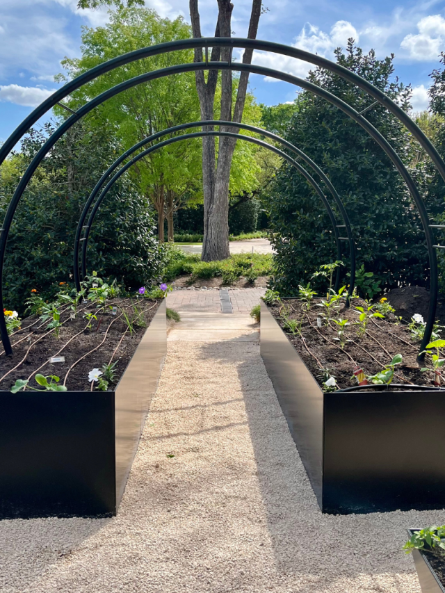 black steel raised garden beds with moon arch trellises