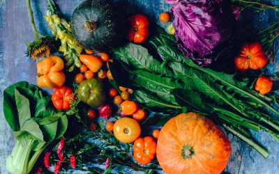 Steps for Planning Your Fall Vegetable Garden