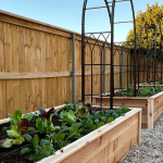 cedar raised beds with arch trellis