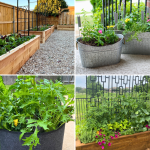 images of kitchen garden options