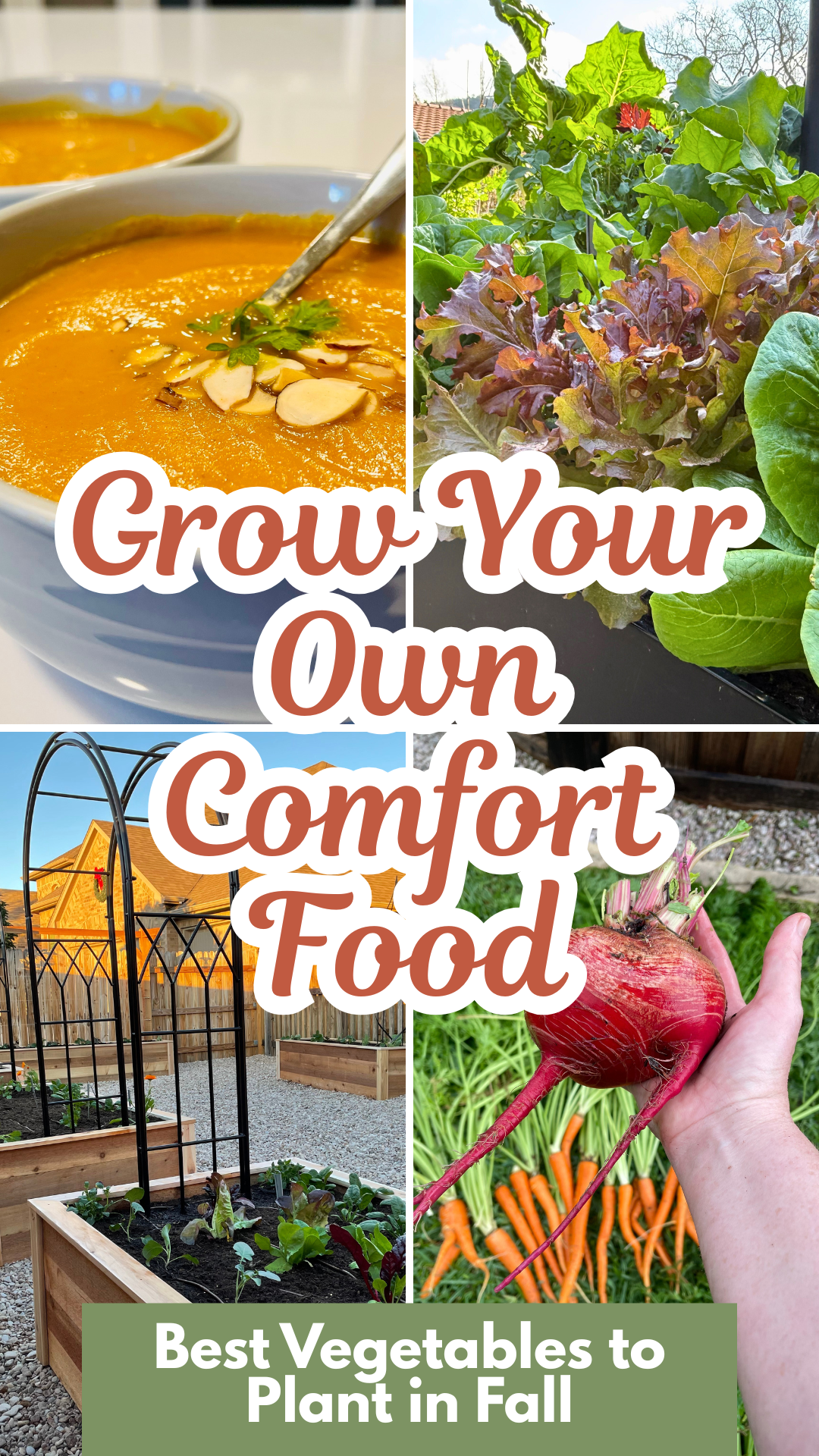 images of soup, lettuce growing, raised bed garden and harvested beets and carrots. text overlay grow your own comfort food, best vegetables to plant in the fall.