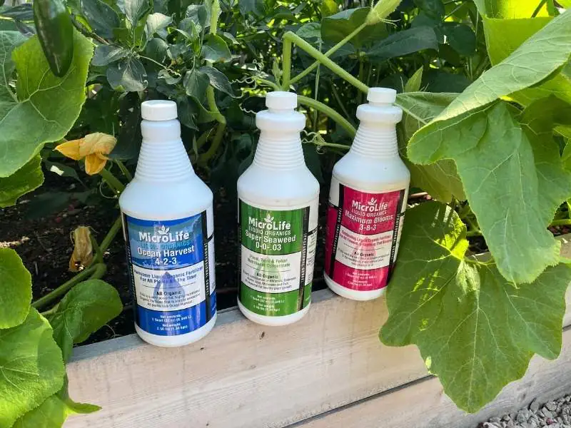image of microlife liquid fertilizer bottles sitting on the edge of a raised bed garden