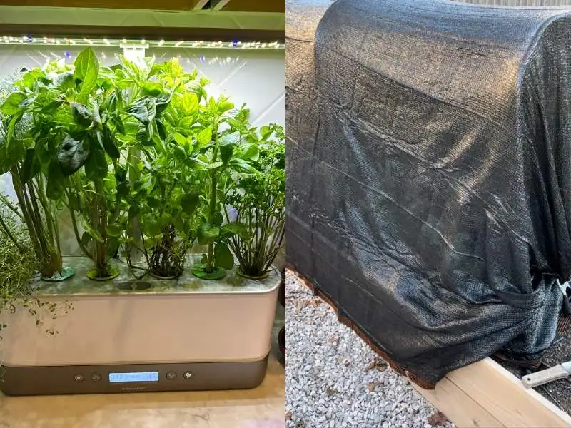 image of an indoor aerogarden on a kitchen counter and an image of a raised bed garden covered in shade cloth