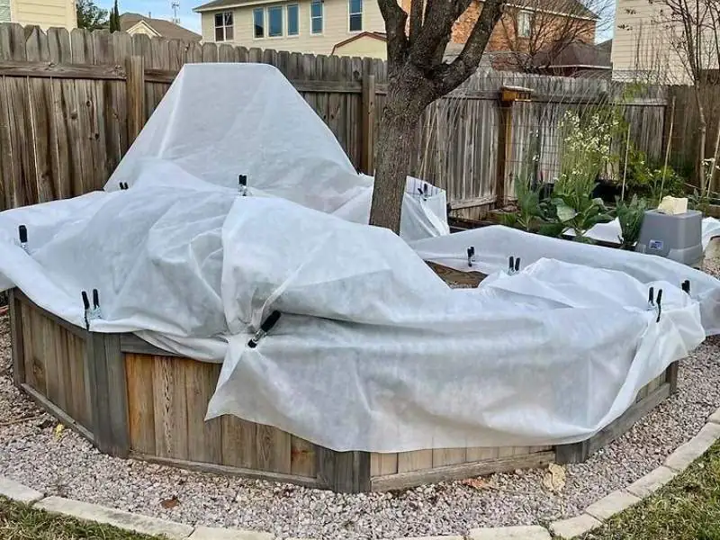 image of a raised bed garden covered in frost cloth