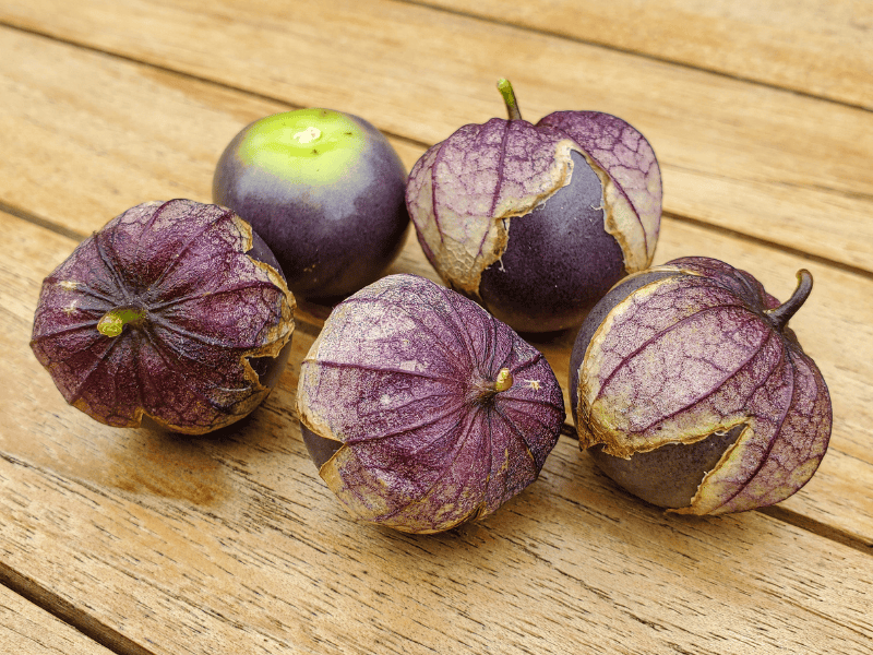 purple tomatillos are fun to grow in the garden