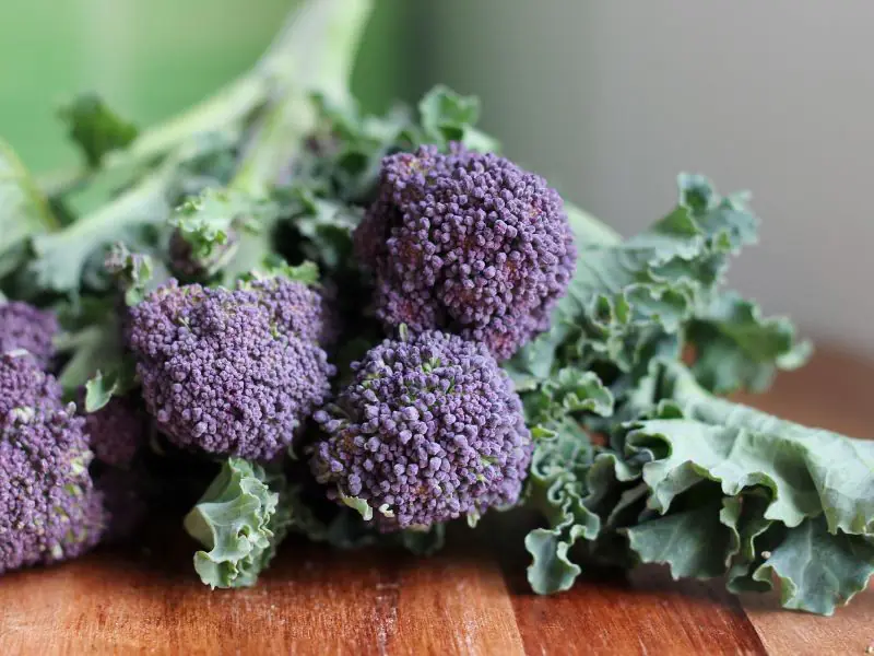 Purple Sprouting Broccoli lying on wood counter top