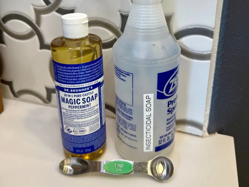 diy pest control spray ingredients.